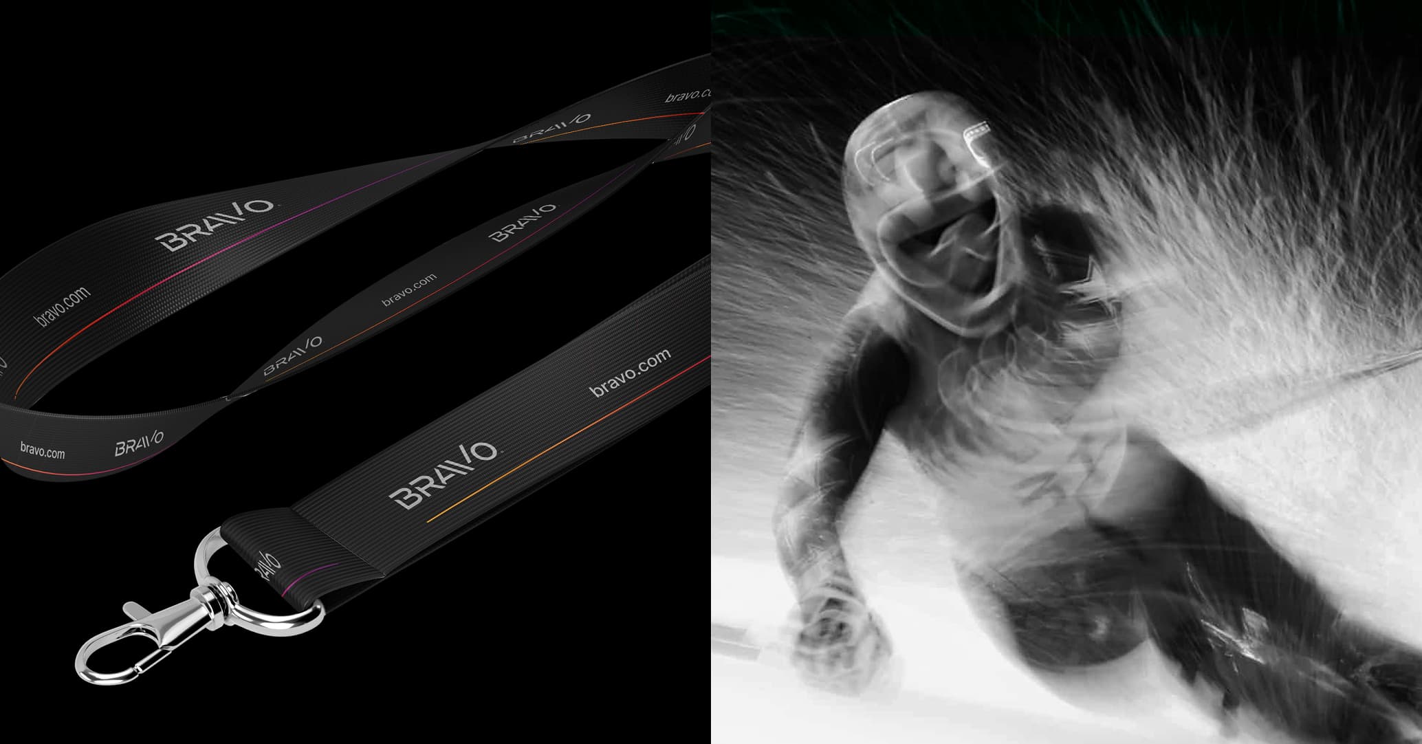 BRAVO Visual Identity - Data Visualization